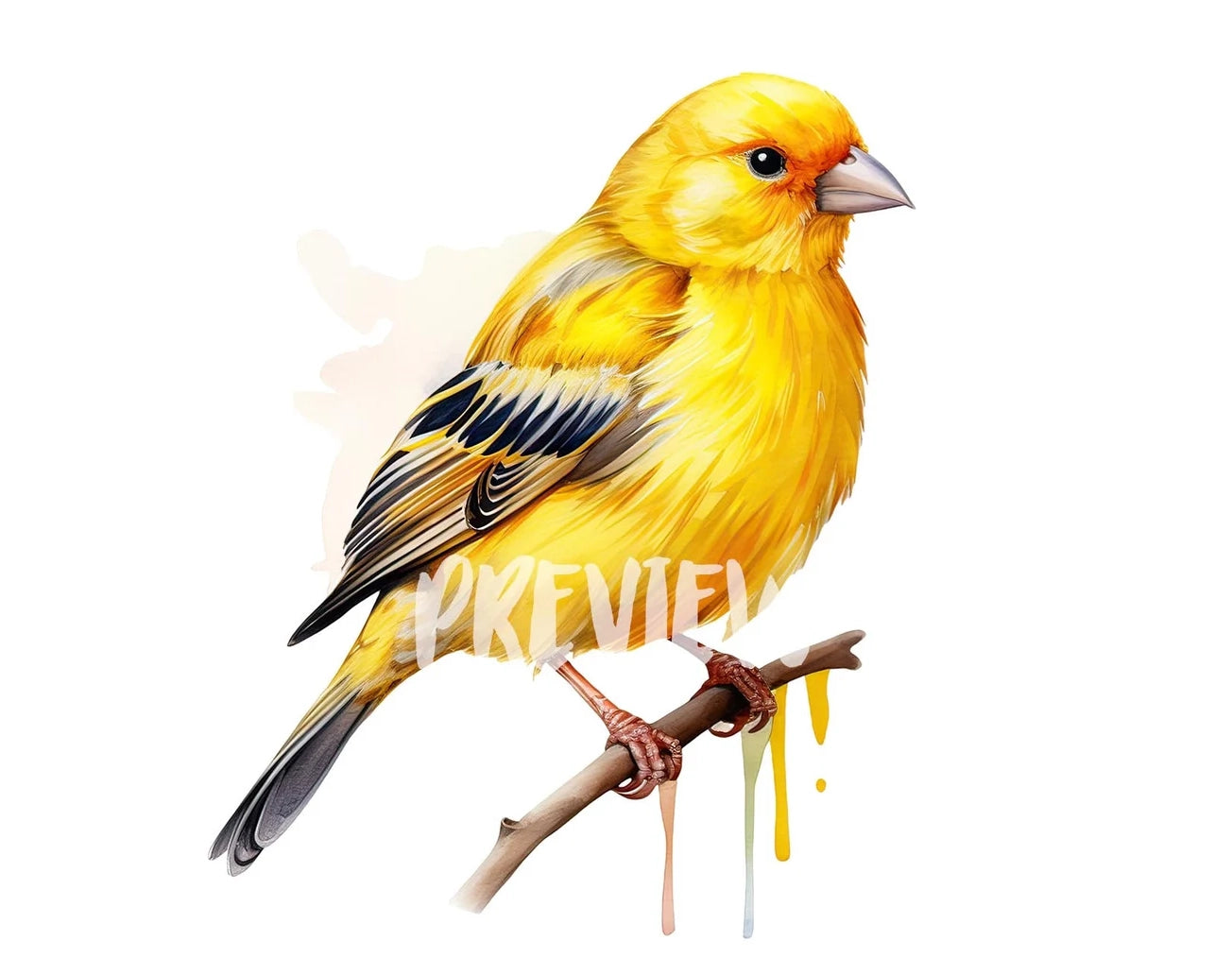 Watercolor Canary Clipart