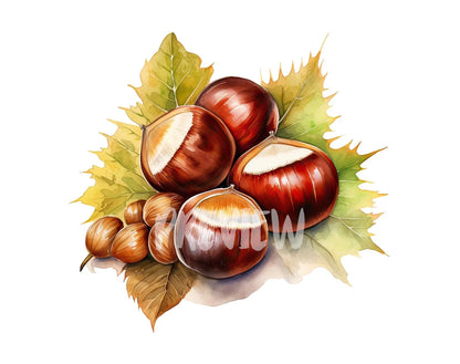 Watercolor Chestnut Clipart