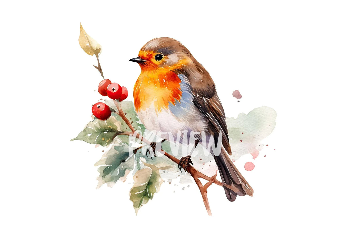 Watercolor Christmas Robin Bird clipart