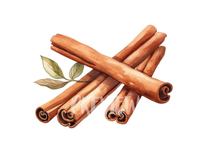 Watercolor Cinnamon Sticks Clipart