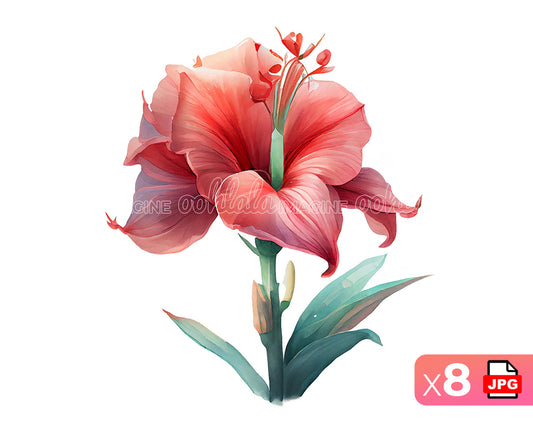 Amaryllis Flower Digital Watercolor