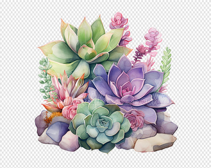 Assorted Succulents Watercolor Clipart