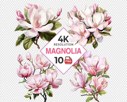 Watercolor Pink Magnolia Clipart