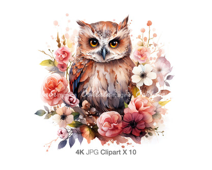 Owl Boho Floral Woodland Animal Clipart