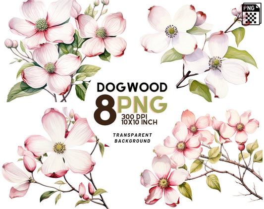 Watercolor Dogwood Clipart PNG