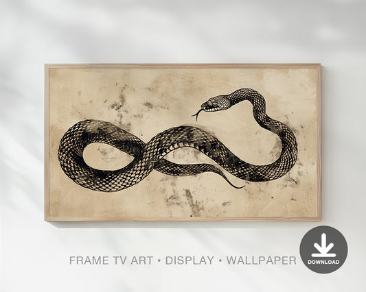 Snake Vintage Drawing Frame TV Art, Wallpaper