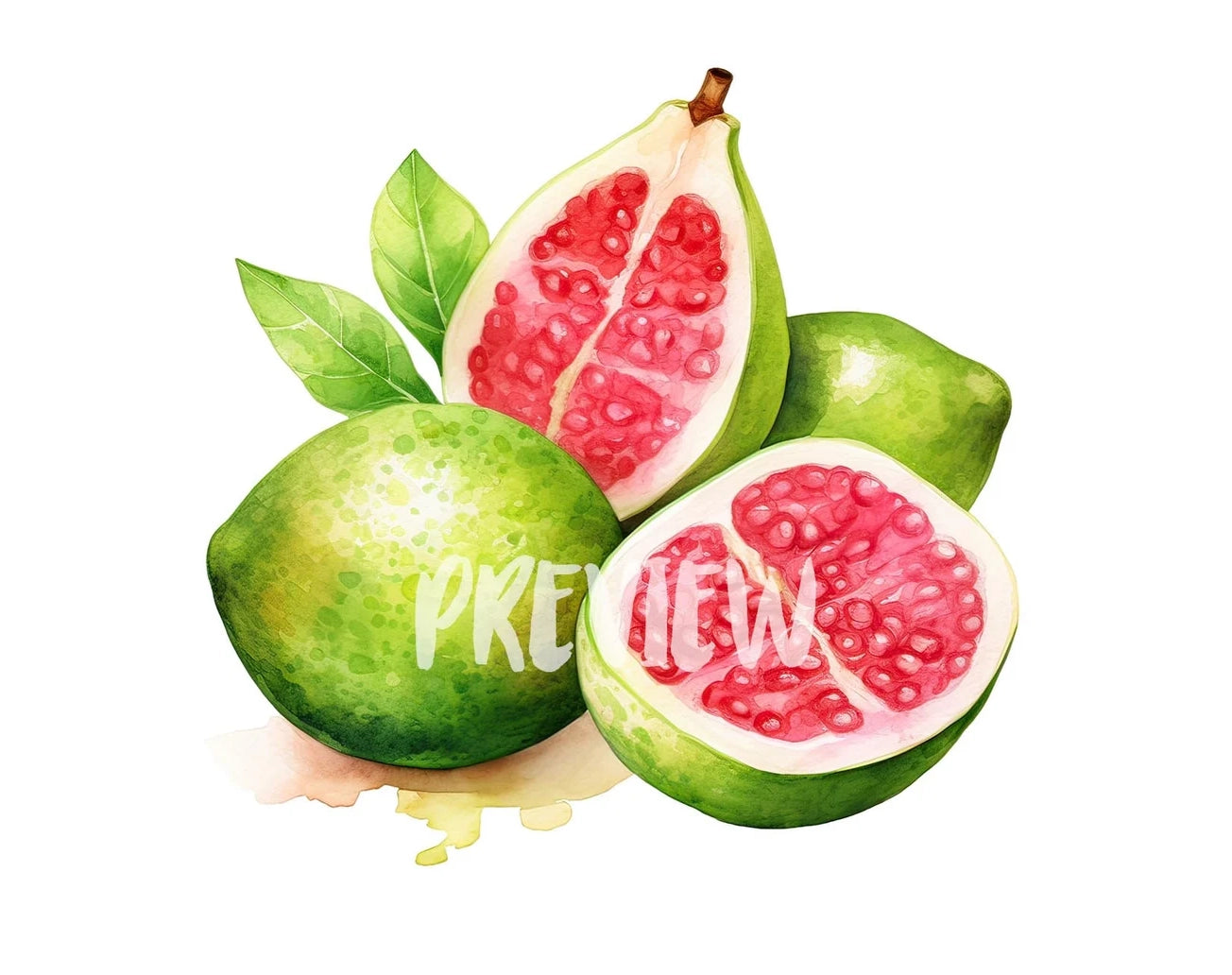 Watercolor Guava Clipart