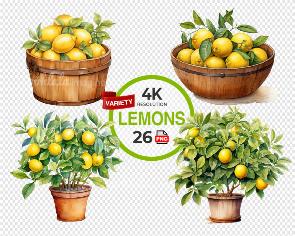 Lemons Variety Set Watercolor Clipart
