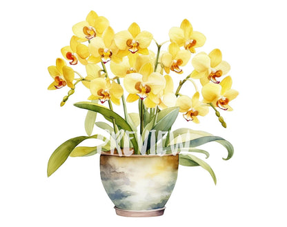 Orchid in a Pot watercolor Clipart