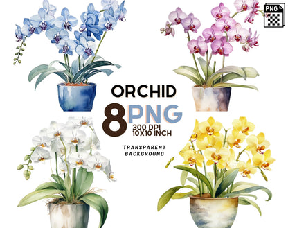 Orchid in a Pot watercolor Clipart