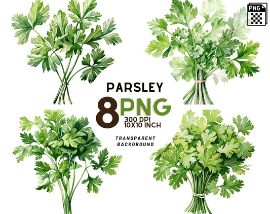 Watercolor Parsley clipart
