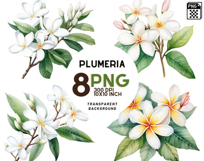 Watercolor Plumeria Clipart