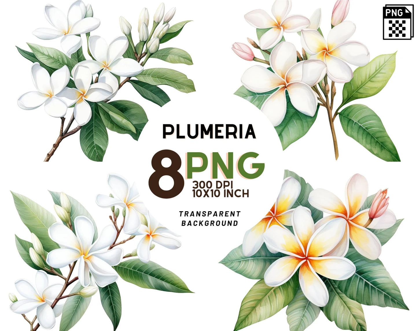 Watercolor Plumeria Clipart