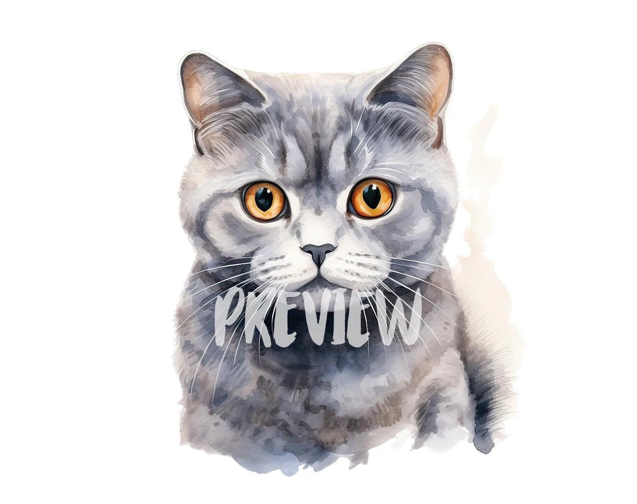 Watercolor Scottish Fold Cat Clipart