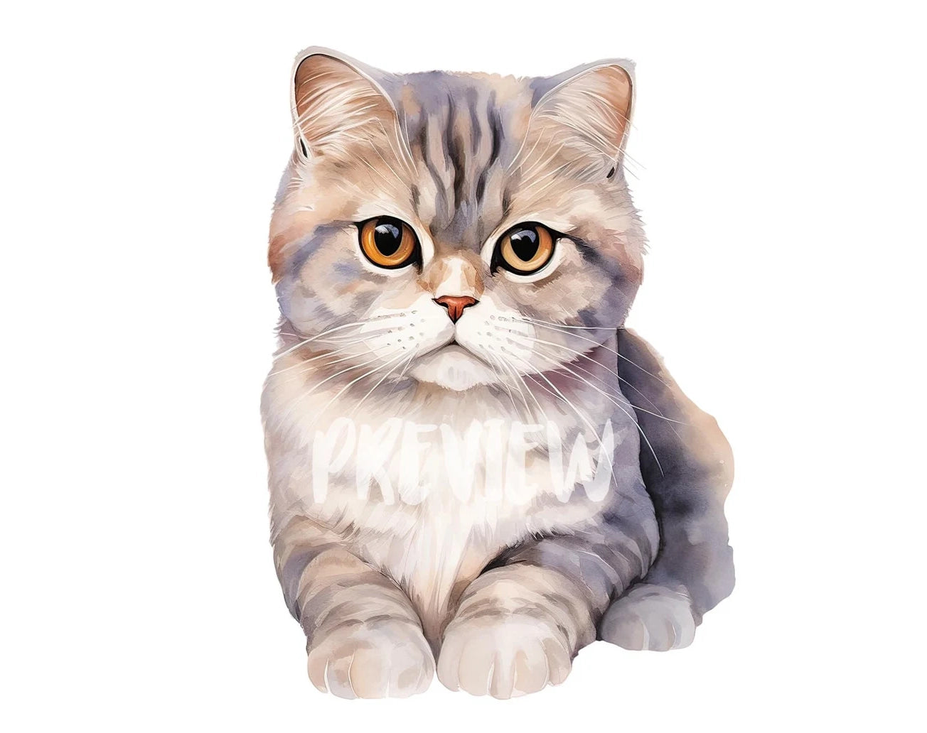 Watercolor Scottish Fold Cat Clipart