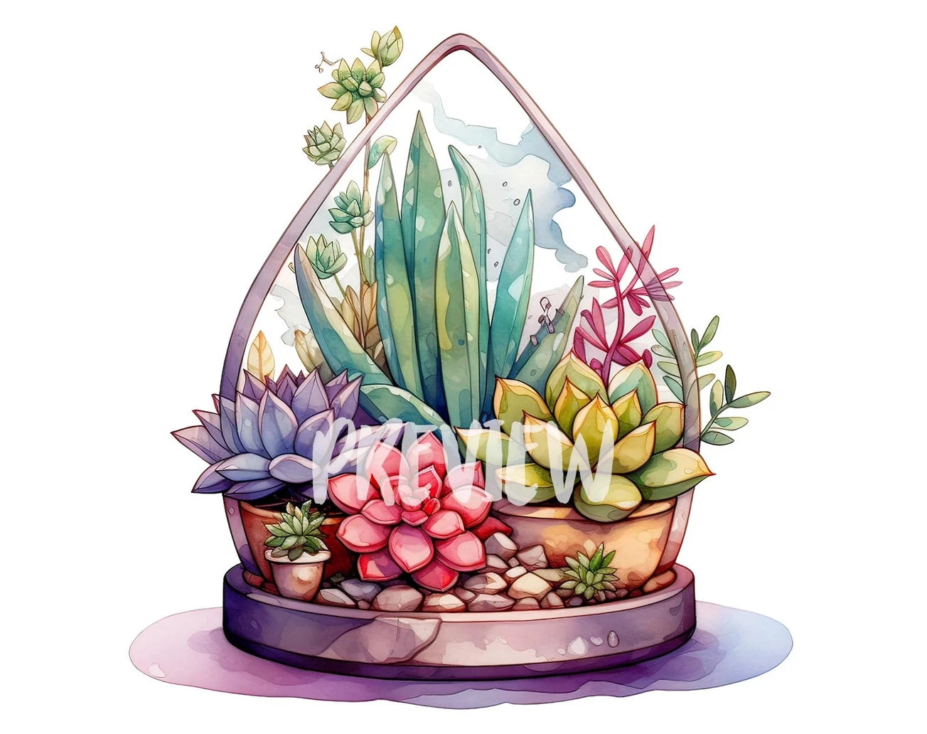 Succulent Terrarium Watercolor Clipart