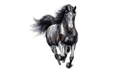 Watercolor Black Stallion clipart