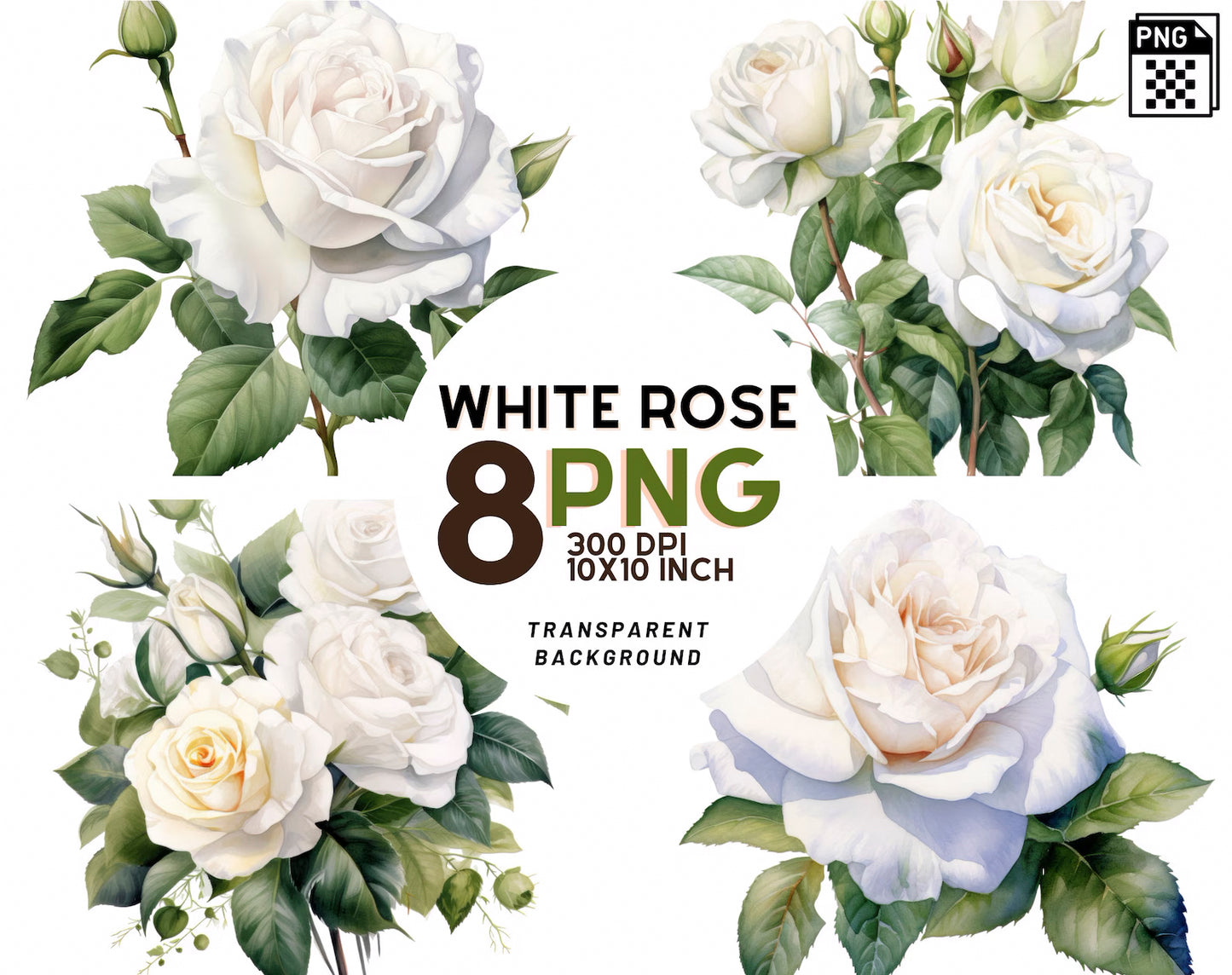 Watercolor White Roses Clipart PNG