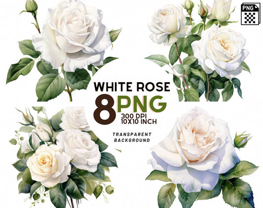 Watercolor White Roses Clipart PNG