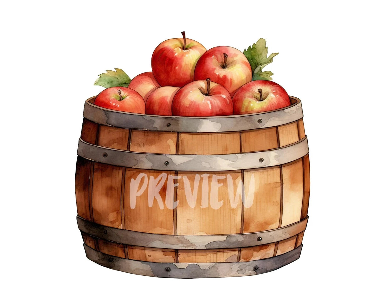 Watercolor Apple Barrel illustration