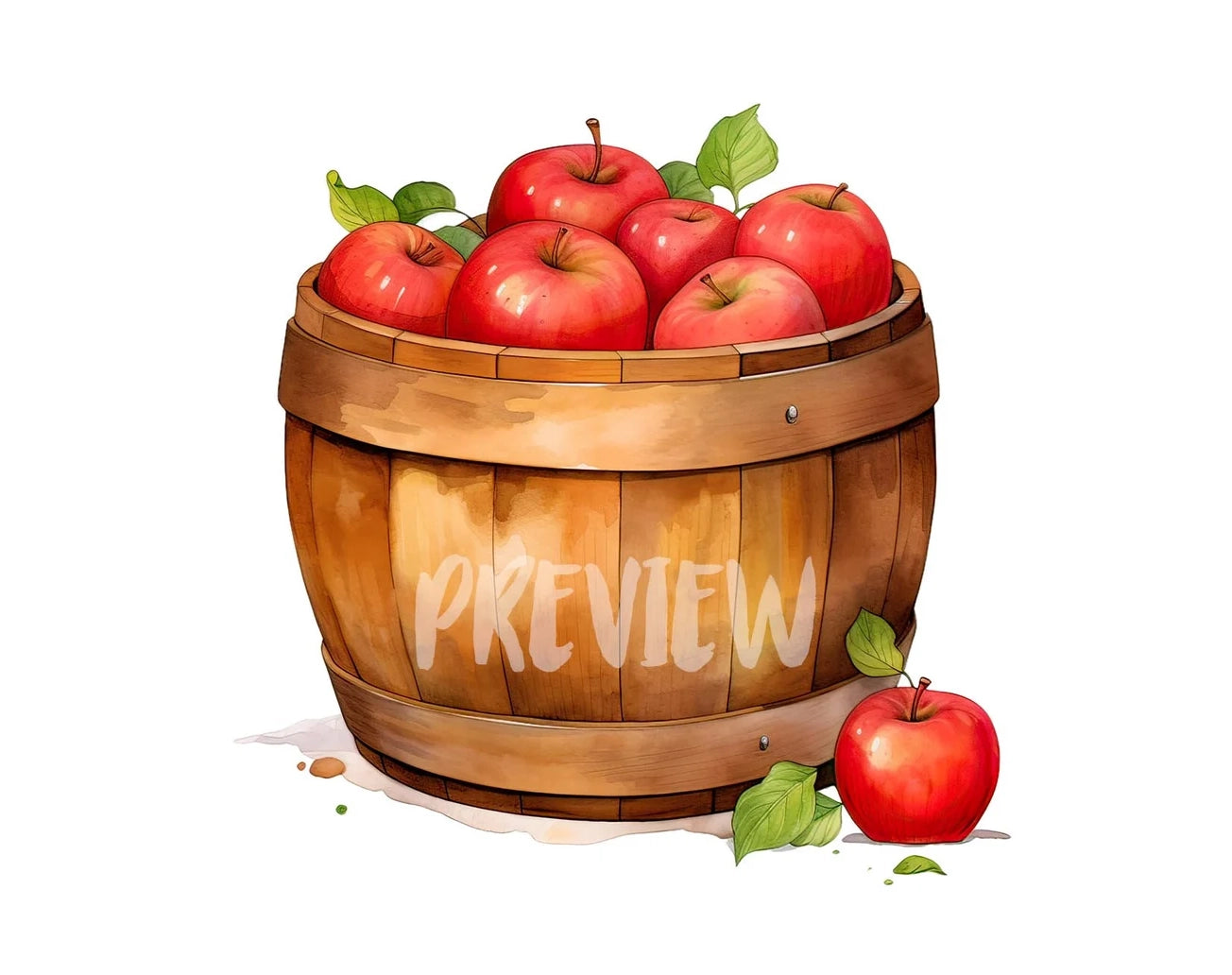 Watercolor Apple Barrel illustration