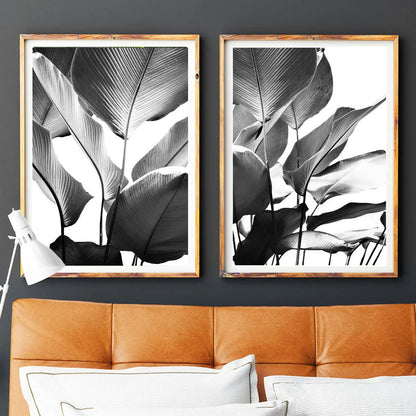 Banana Leaves Set of 2 Black and White Wall Art Prints