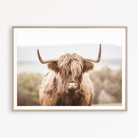 Highland Cow Print Landscape Poster