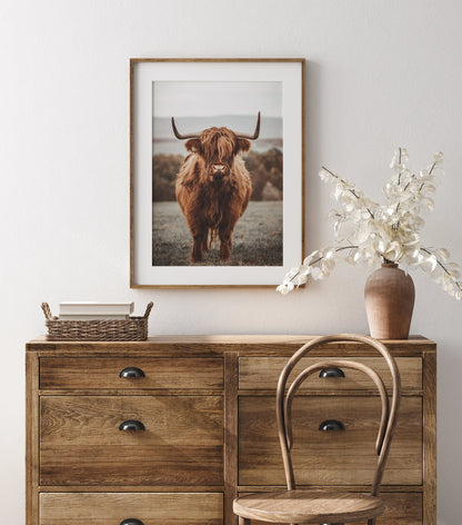 Highland Cow Art Nature Photography Print Poster