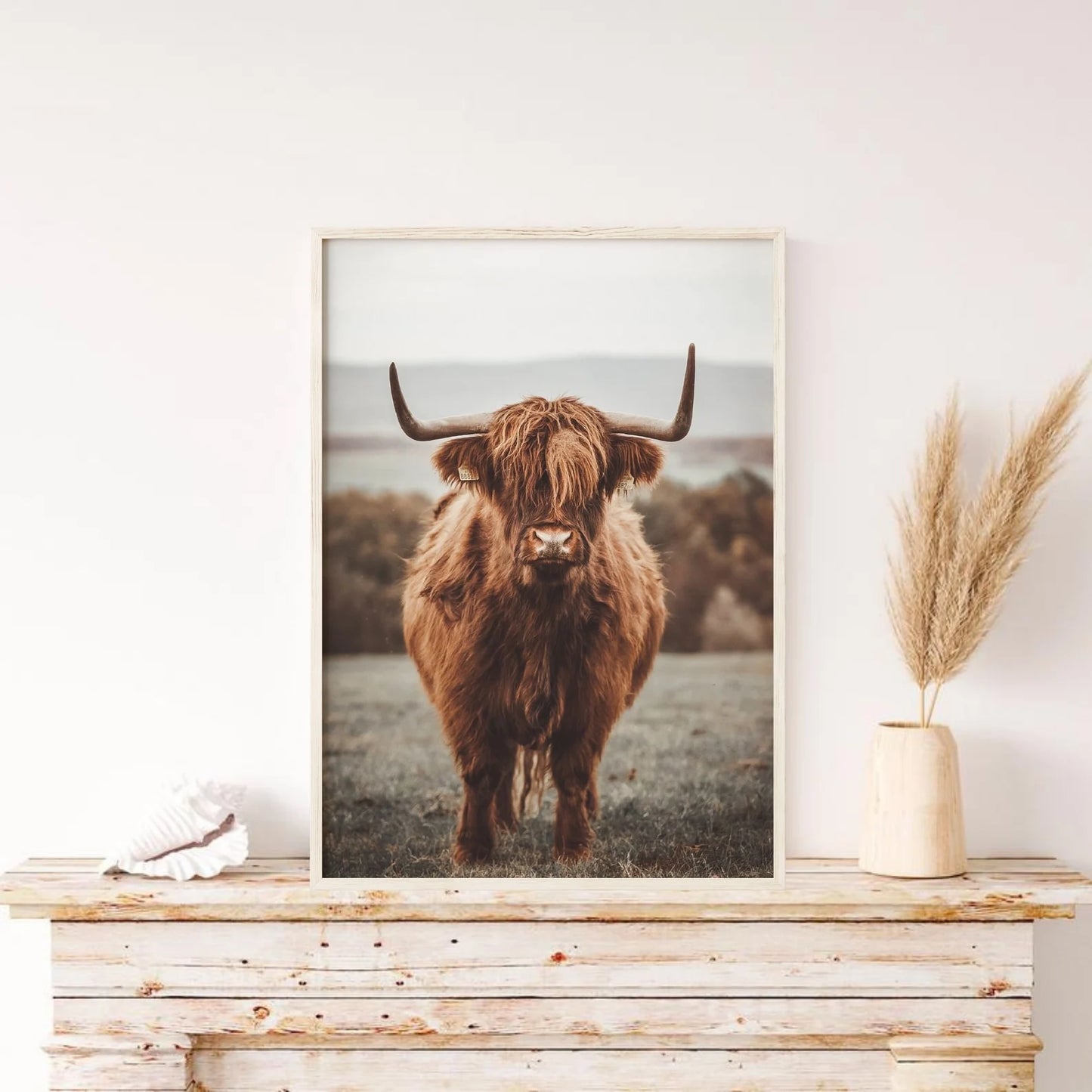 Highland Cow Art Nature Photography Print Poster