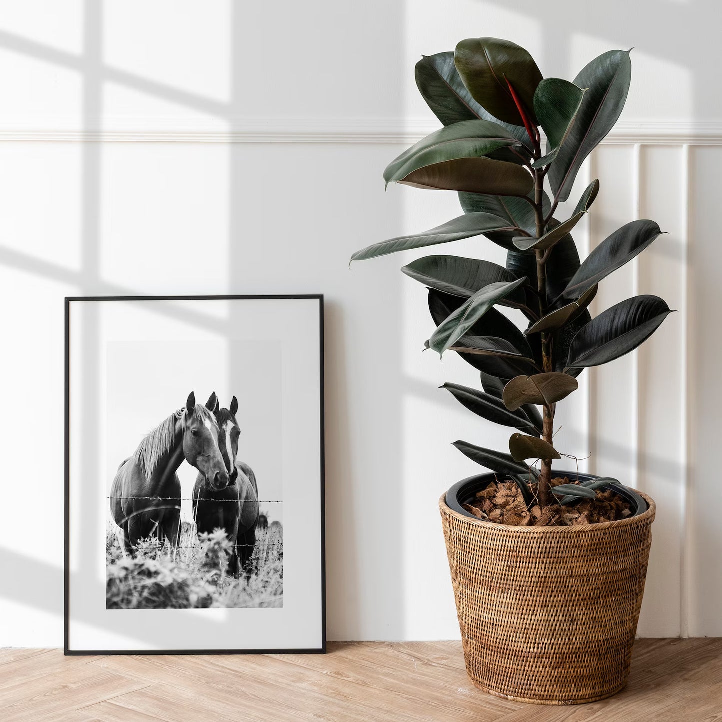 Wild Horses Black and White Wall Art Poster