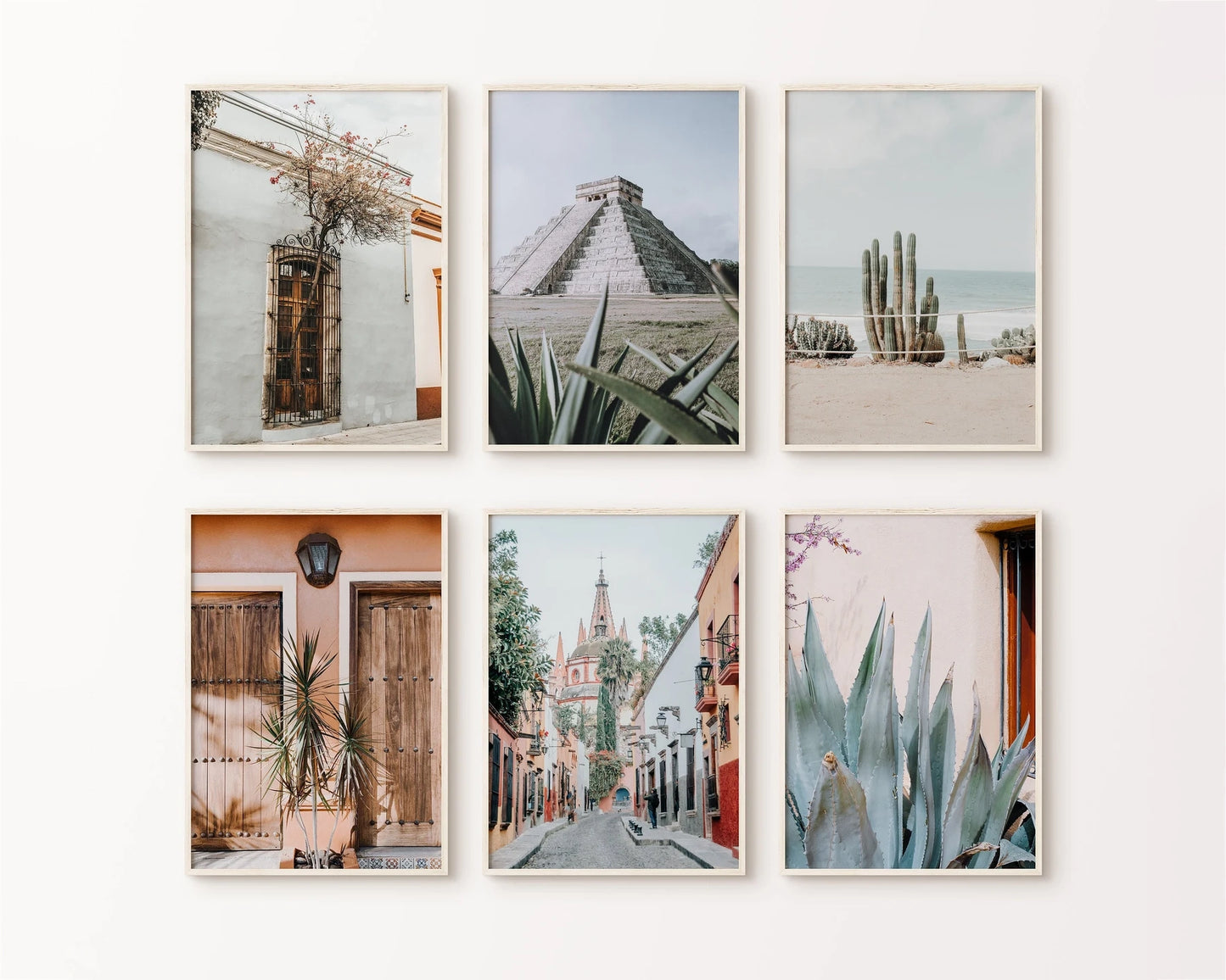 Mexico Cactus Photography Set of 6 Prints