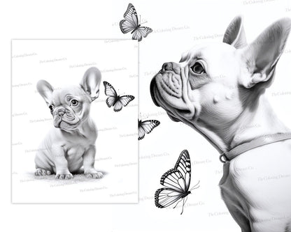 French Bulldog Coloring Book, Frenchies, Printable Coloring Pages PDF