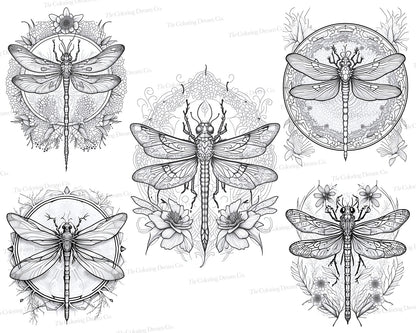 Dragonfly Mandala Coloring Book, Dragonfly Coloring Pages, Printable PDF