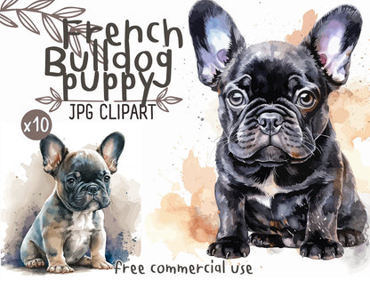 French Bulldog Watercolor Clipart