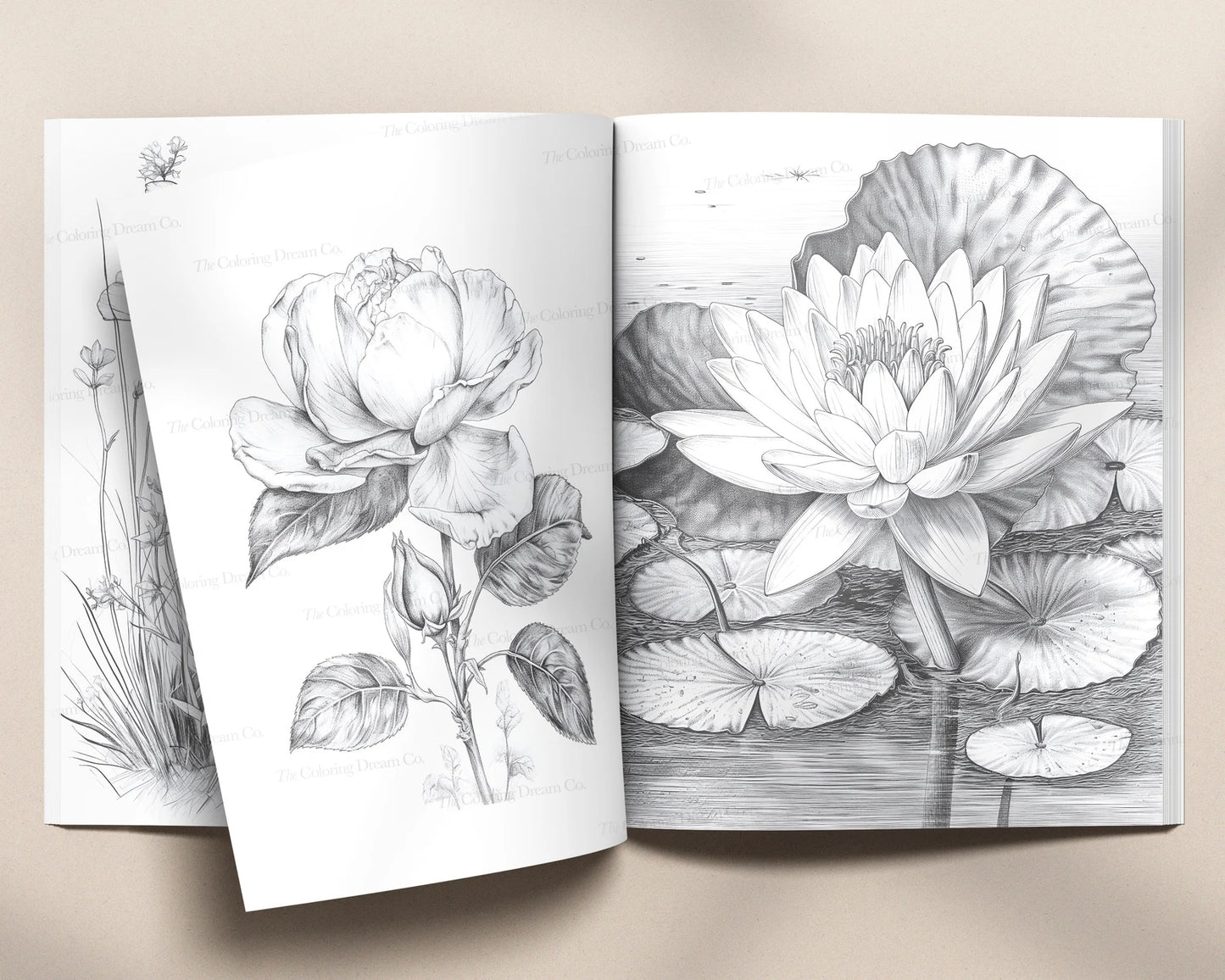 Botanical Flowers Coloring Book, Beautiful Flowers Coloring Pages PDF