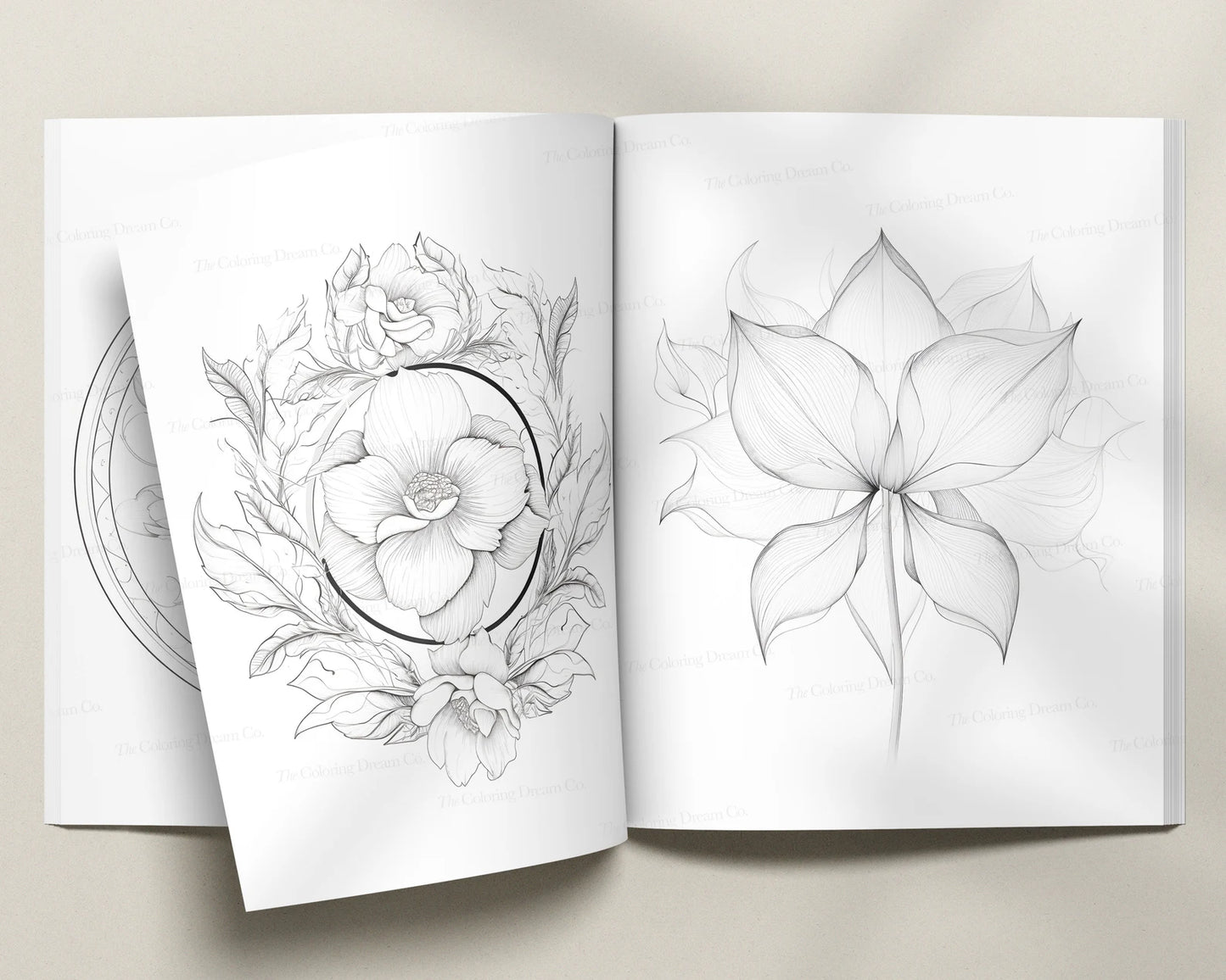 Minimalist Botanical Flowers Coloring Pages PDF Download