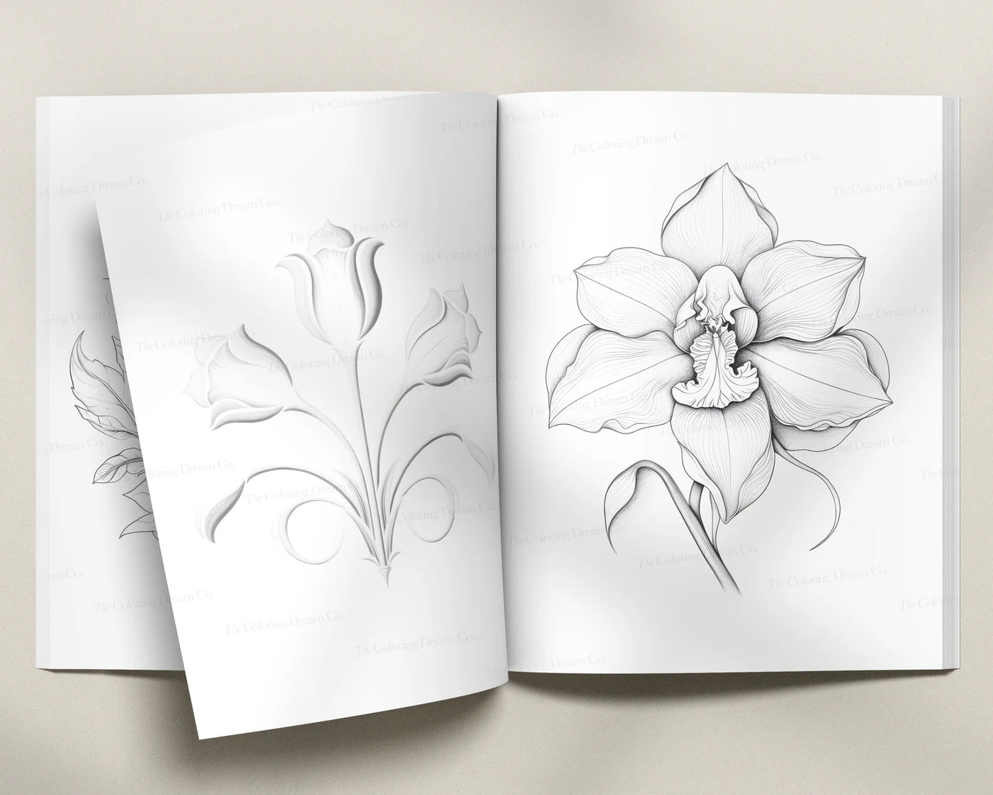 Minimalist Botanical Flowers Coloring Pages PDF Download