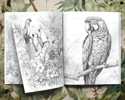 Exotic Birds Coloring Book, Tropical Birds, Adults Kids Coloring Pages Printable PDF