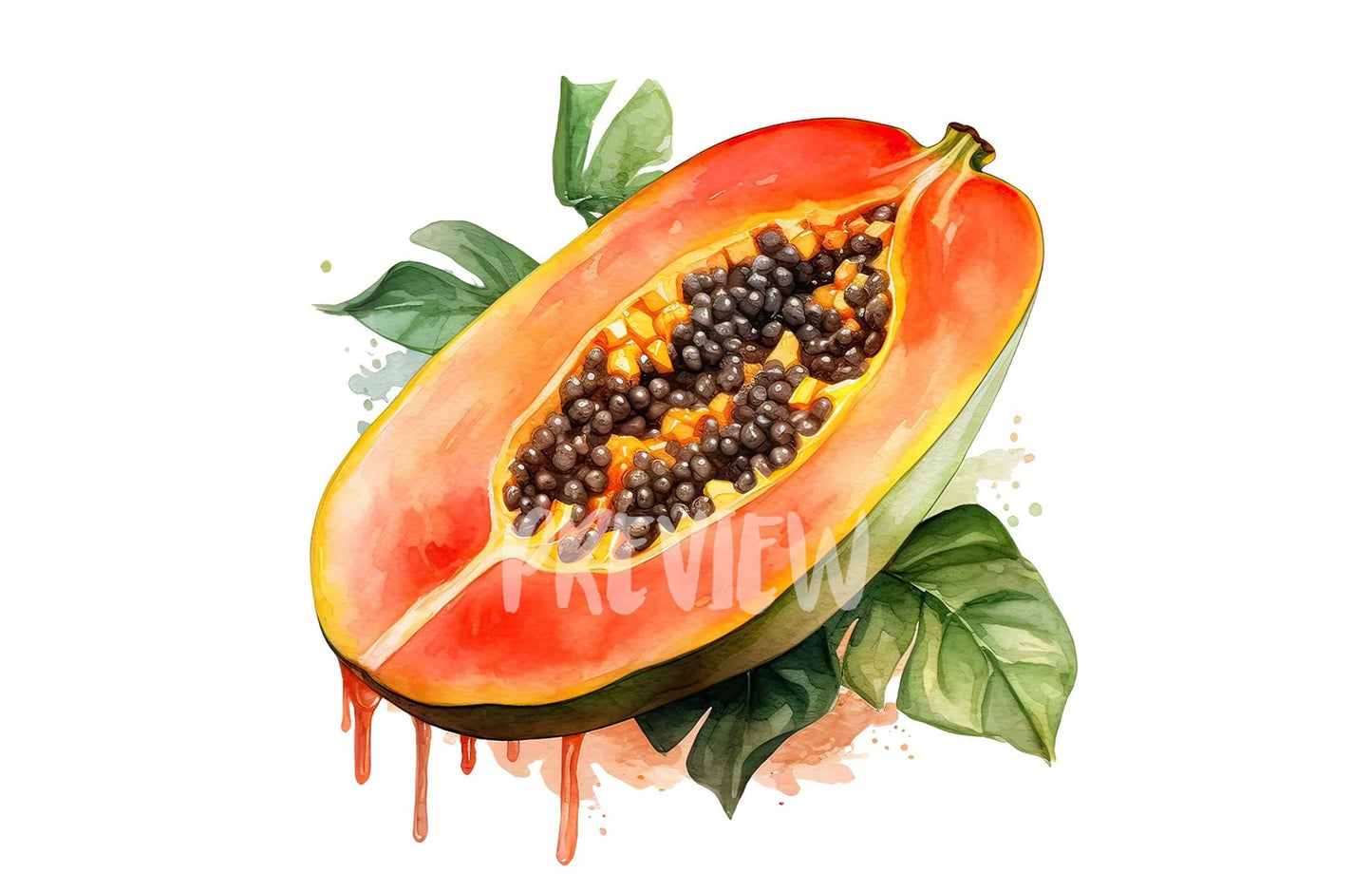 Watercolor Papaya Clipart