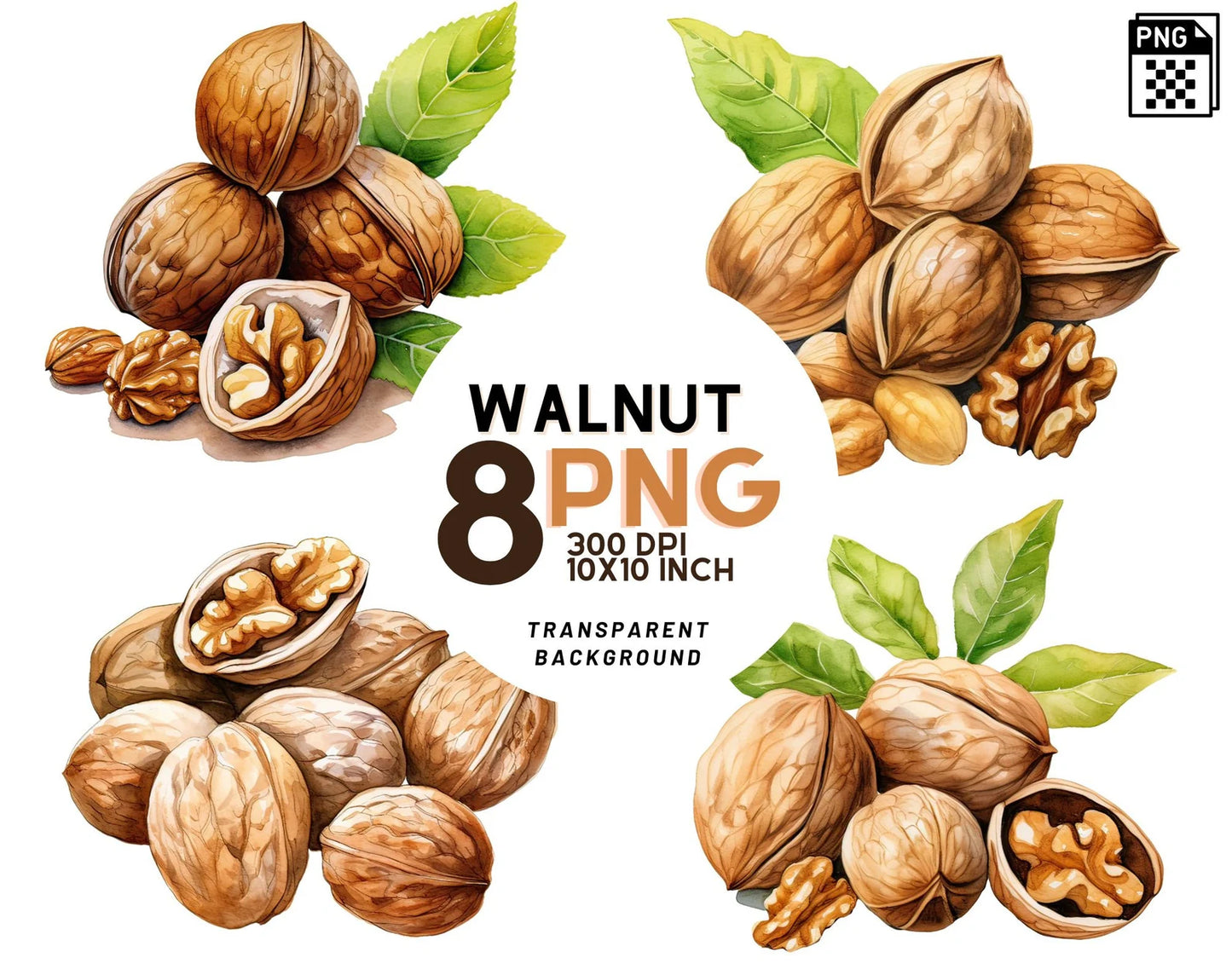 Watercolor Walnut Clipart
