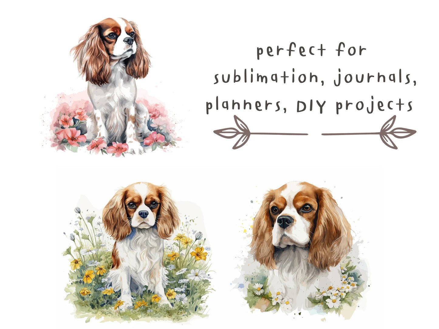 Cavalier King Charles Spaniel Watercolor Clipart