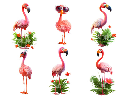 Cute Flamingo Clipart Colorful Flamingo PNG