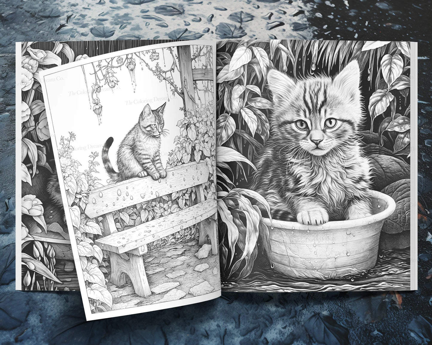 Rainy Day Kitty Coloring Book, Kittens & Cats, Printable Coloring Pages PDF