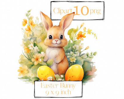Easter clipart, Easter bunny, Spring clipart