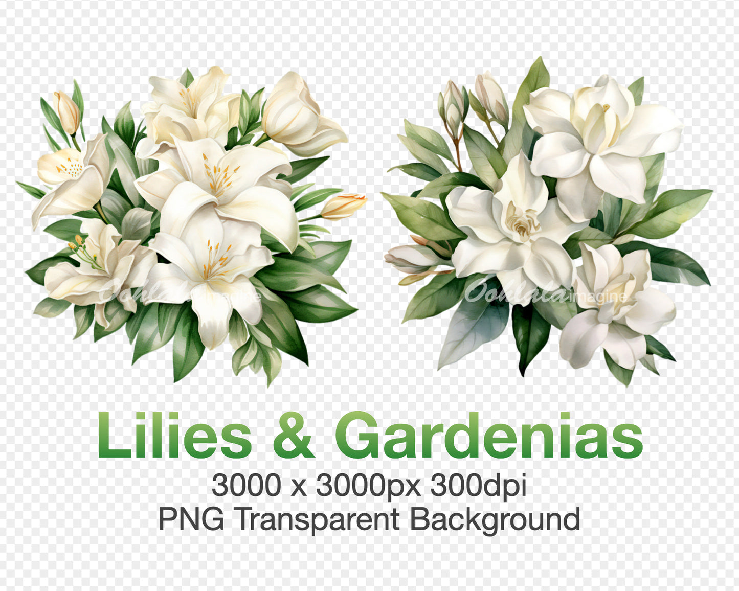 Beautiful Lilies and Gardenias Flowers