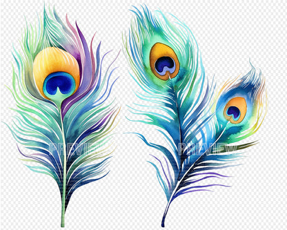 Peacock Feather Watercolor Clipart