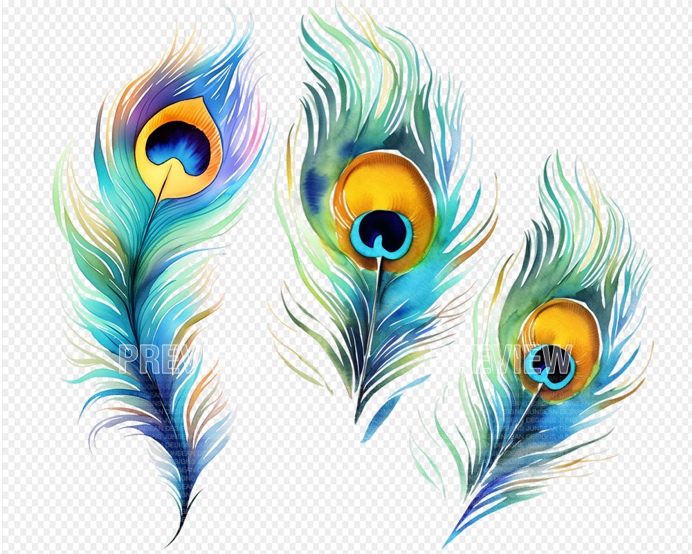 Peacock Feather Watercolor Clipart