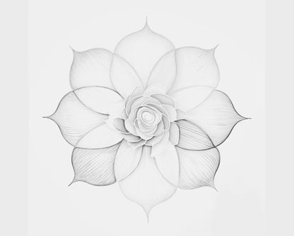 Minimalist Botanical Flowers Coloring Pages PDF Download