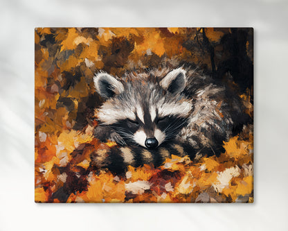 Sleeping Baby Raccoon in Autumn – 5:4 Ratio Canvas Wall Art