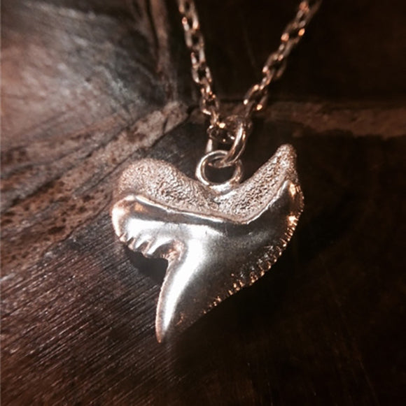 Shark Tooth 925 Sterling Silver Pendant